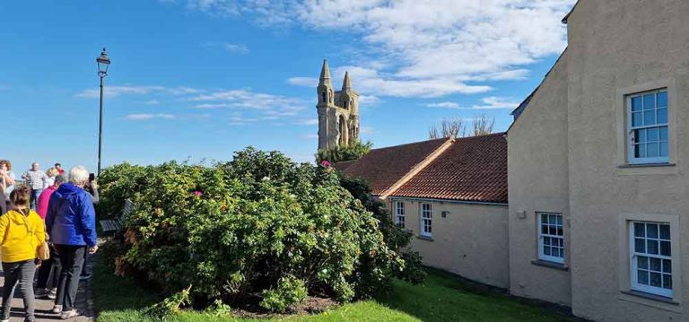 St Andrews Tours Cathedral and fisher houses